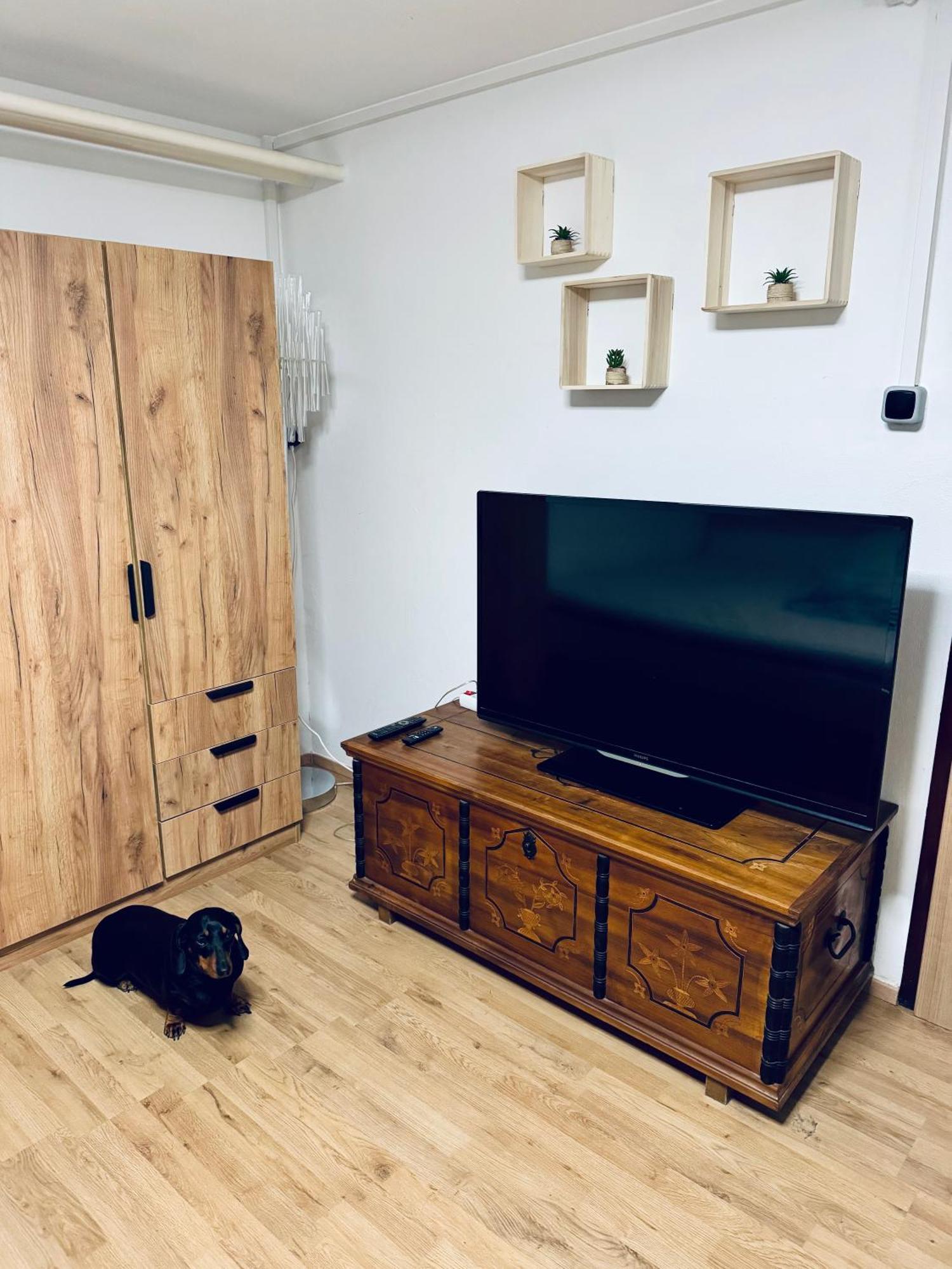 Moon Bay Apartment - Free Large Parking Πορτορόζ Εξωτερικό φωτογραφία